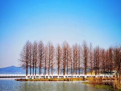 -东钱湖旅游度假区