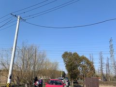-广富林郊野公园