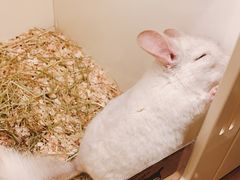 -龙猫仔乐园(惠福东路店)