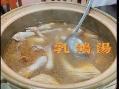 乳鸽汤-华仔土鸡店(创意产业园店)