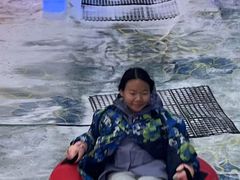 -世界之窗阿尔卑斯冰雪世界