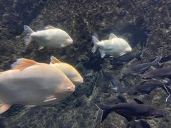 -南昌海洋公园
