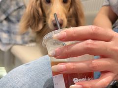 -Dogi&kiki Coffee(中心商务大厦店)