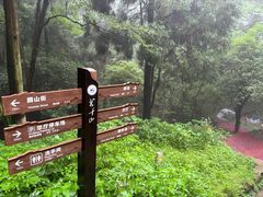 -莫干山风景区