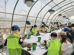 -嘉北郊野公园