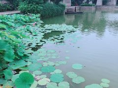 -嬉乐湾休闲旅游区