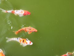 -茂陵博物馆