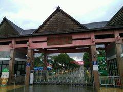 -上海都市菜园
