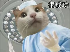 -东莞宠友24H宠物中心医院·转诊夜诊·异宠(新河北路院)