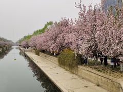 -元大都城垣遗址公园