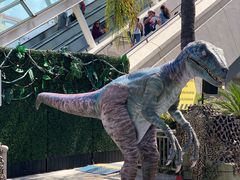 -木乃伊复仇过山车