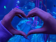 -沈阳海洋探索中心