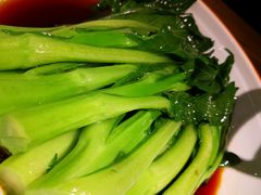 -九毛九西北菜(大东海店)