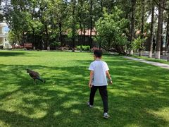 -西昌邛海宾馆