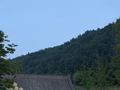 -九寨沟石锅鱼(沣峪口二十年店)