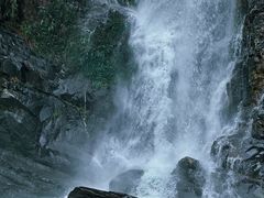 -鼎湖山风景区