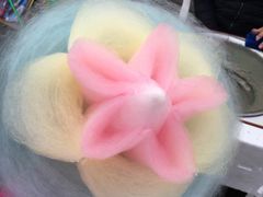 -白塘生态植物园