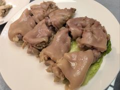 -丁老爷子苏香圆