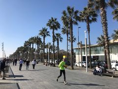 -小巴塞罗那海滩