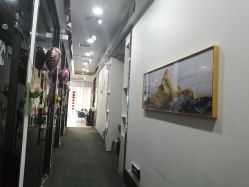 -DEM缔怡美科技美容