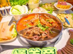 -懂羊帝·羊蝎子·北京菜(小关店)