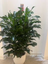 -天津伊美尔医疗整形美容专科医院