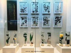 -广东中医药博物馆
