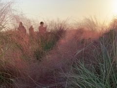-映月湖中央公园