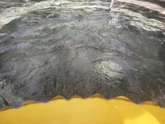 -惠州金海湾嘉华度假酒店