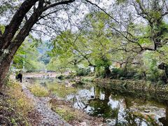 -水墨汀溪风景区