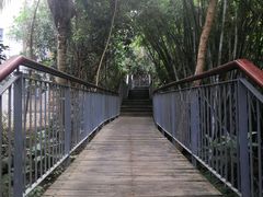 -燕晗山郊野公园