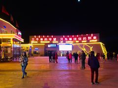 -金塔沙漠胡杨林景区