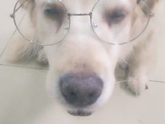 -北京恒爱动物医院(清景园分院)