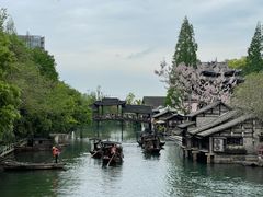 -乌镇西栅景区
