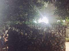 -大自然素食(望桐路店)