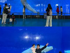 -泉城欧乐堡海洋极地世界