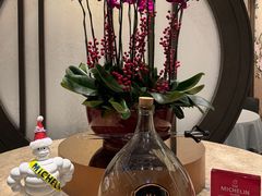 -万豪金殿(香港JW万豪酒店)