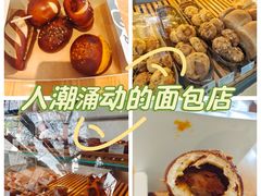 -WHEN PIGS FLY当猪飞