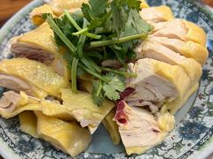 -九斤黄三黄鸡专卖店