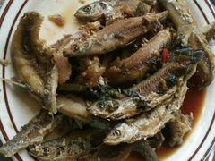 -八仔大富楼·河鲜(西江店)