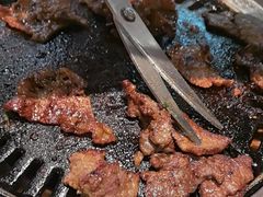 -韩味园果木炭烤鲜肉(陵东街店)