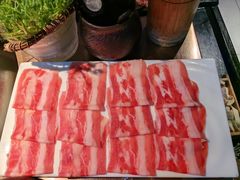 -辣伍鲜毛肚老火锅(元一店)