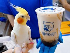 -煲珠公·老红糖珍珠奶茶(长宁龙之梦店)