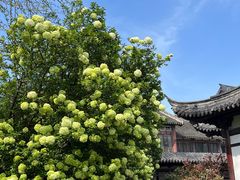 -常熟方塔园