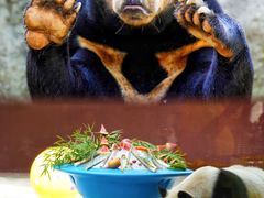 -杭州野生动物世界