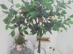 -捕螺记螺蛳粉(东关大街店)