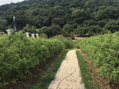 -龙寺生态园