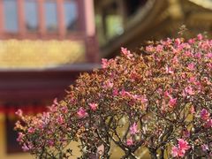 -太平禅寺
