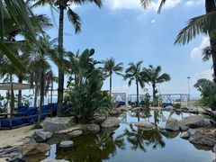 -精酿农场Brew Farm·沙漠绿洲餐厅