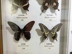 -中国湿地博物馆